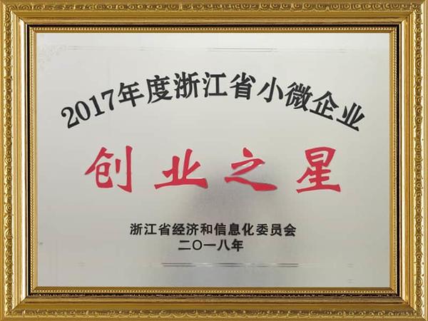 Bintang Keusahawanan Perusahaan Kecil dan Mikro Zhejiang 2017